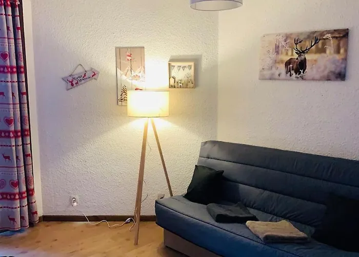 -30 Reduction Sur Location Skis Et Materiel ! Appartement 2 Alpes Coeur Station