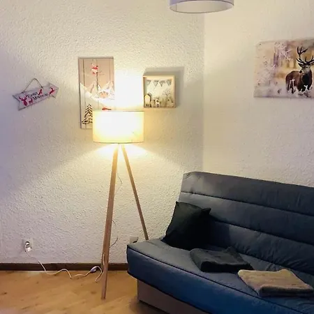 -30 Reduction Sur Location Skis Et Materiel ! Appartement 2 Alpes Coeur Station Les Deux Alpes Exterior foto