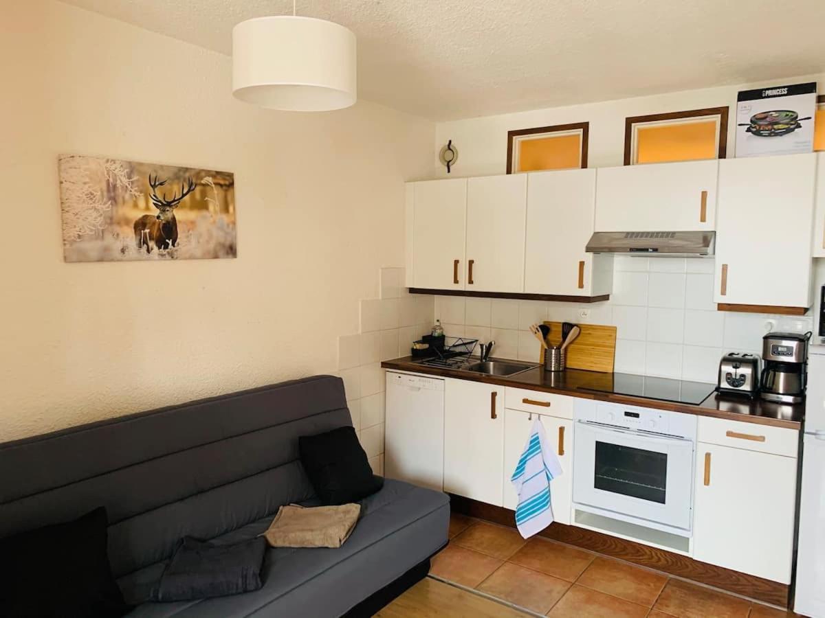 -30 Reduction Sur Location Skis Et Materiel ! 2 Alpes Coeur Station Apartment *
